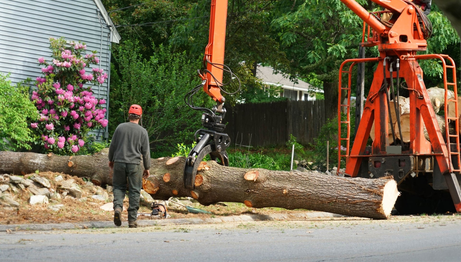 Local partner for Tree removal services in Gig Harbor